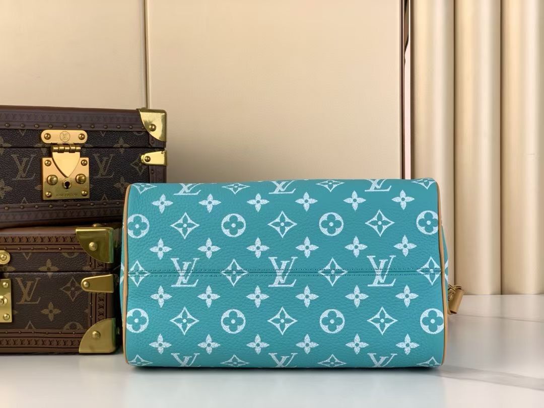 l0*is V*t0n speedy bandoulière 25-25x 19 x 15cm