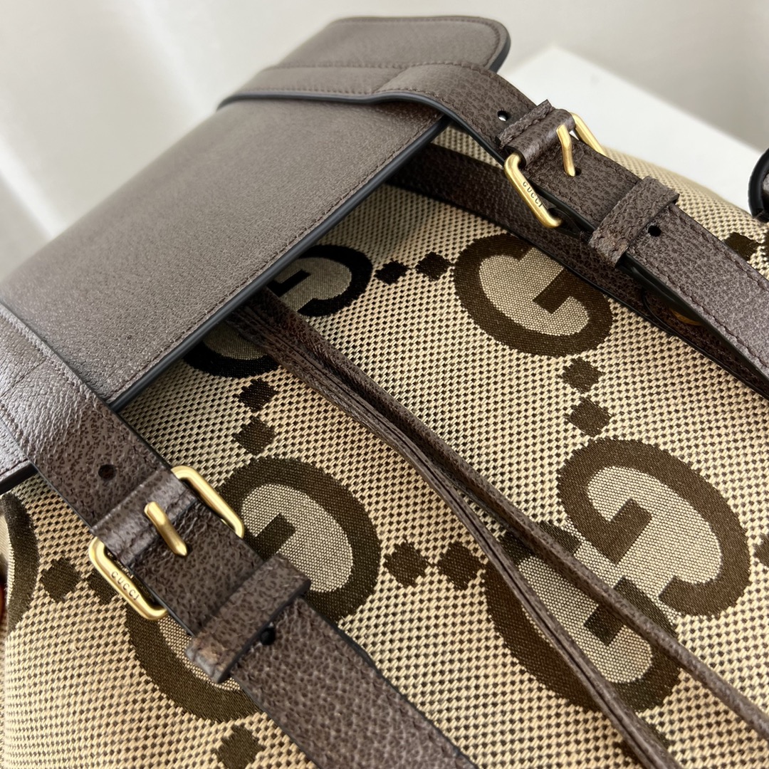 G*u*i backpack-34x42x16cm