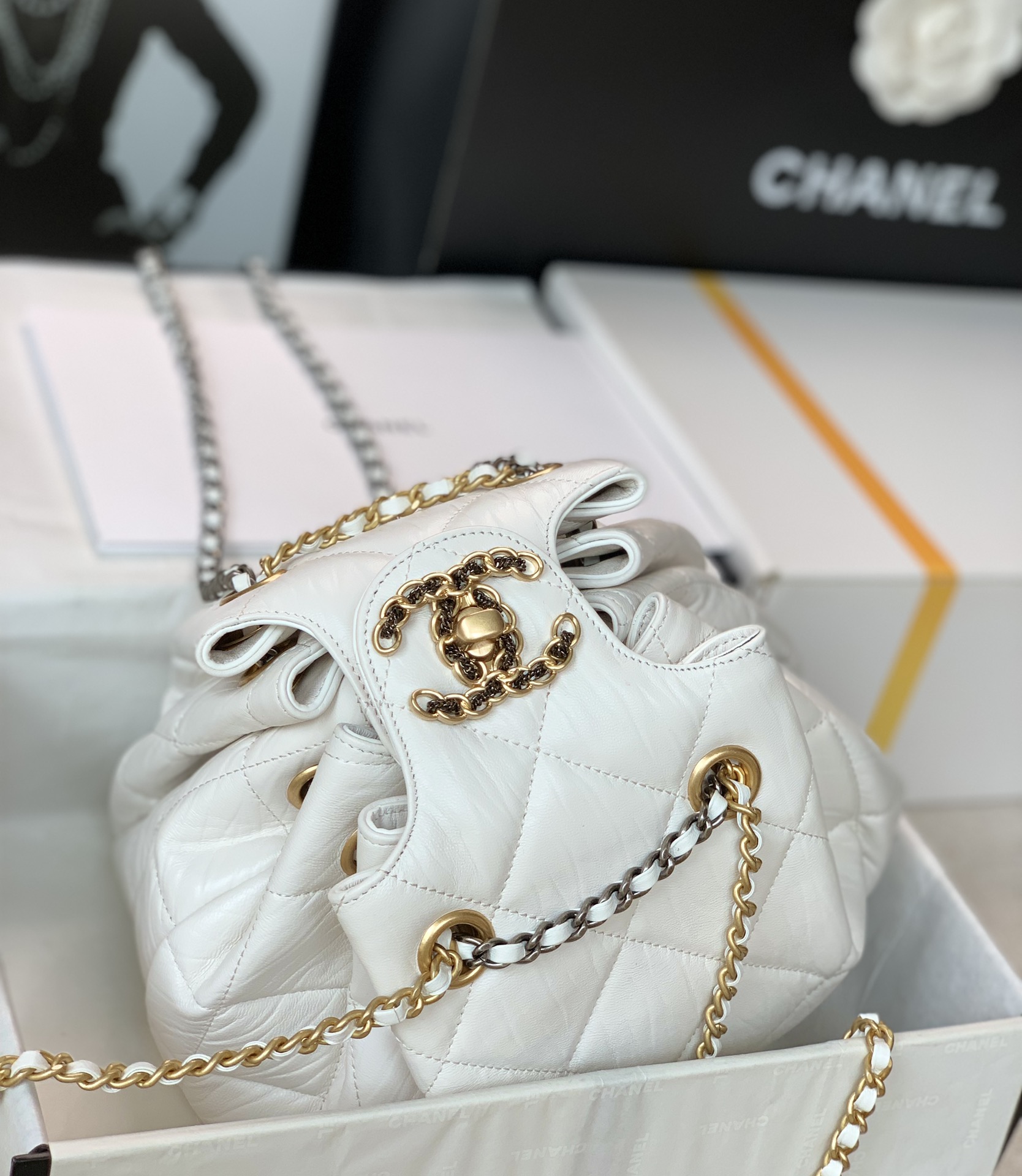 Ch@nel 2022SS Dumpling Bag