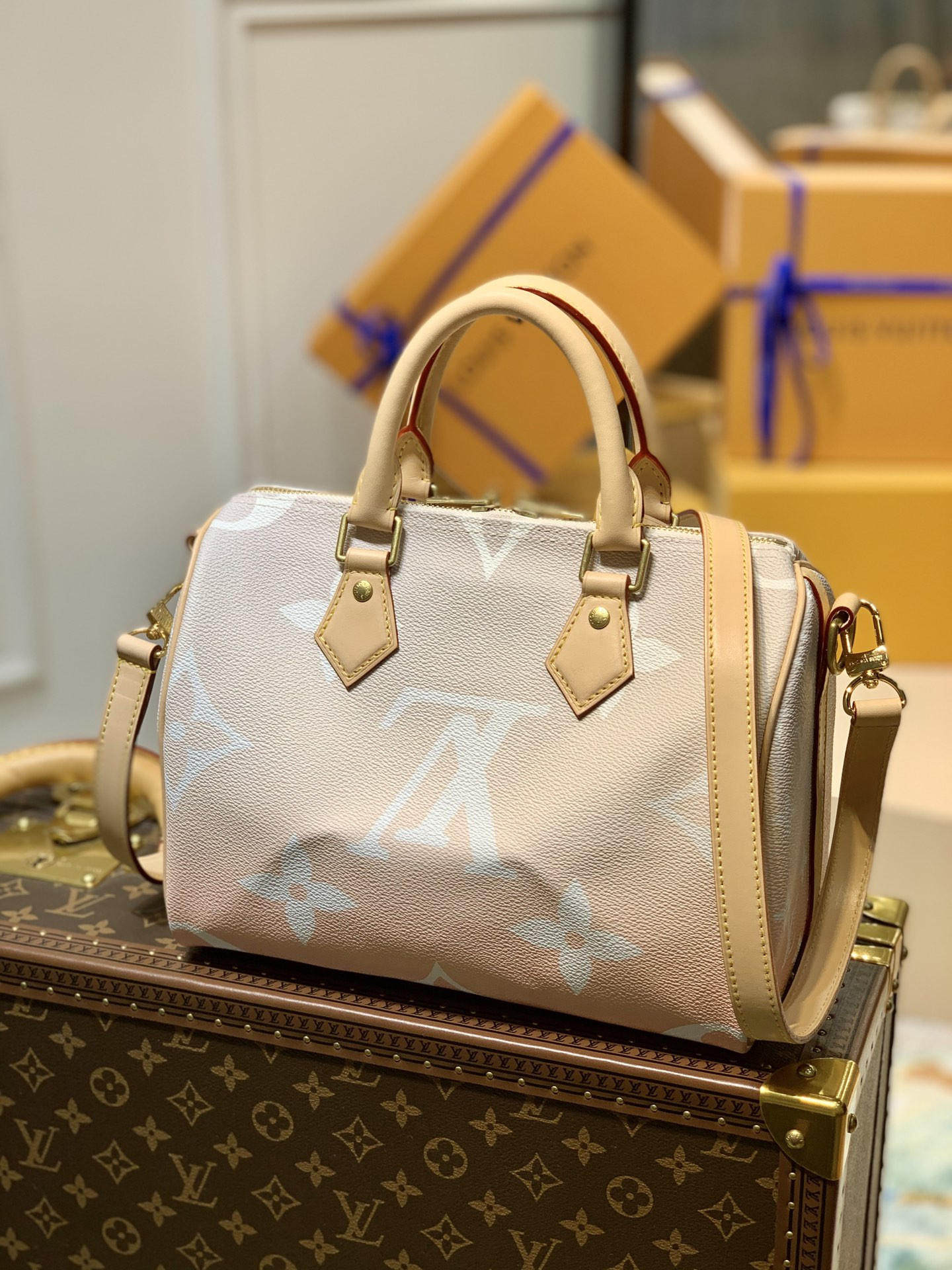 l0*is V*t0n speedy 25-25*19*15cm