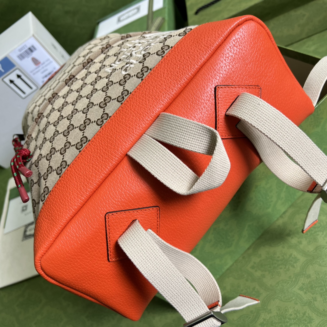 he nor*h f**e x G*u*i backpack-33*49*13cm