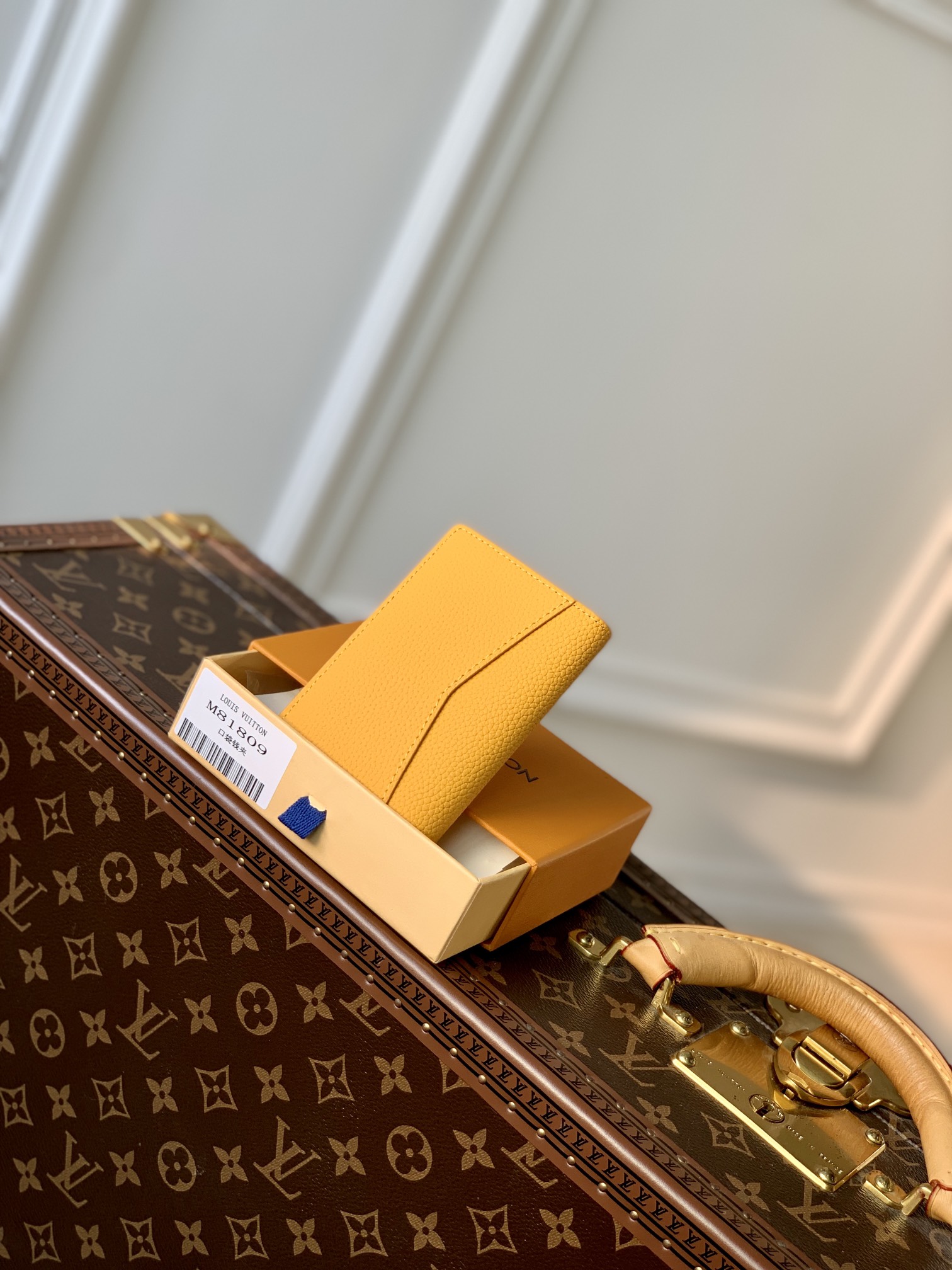 l0*is V*t0n aerogram wallet-8 x 11 x 1cm