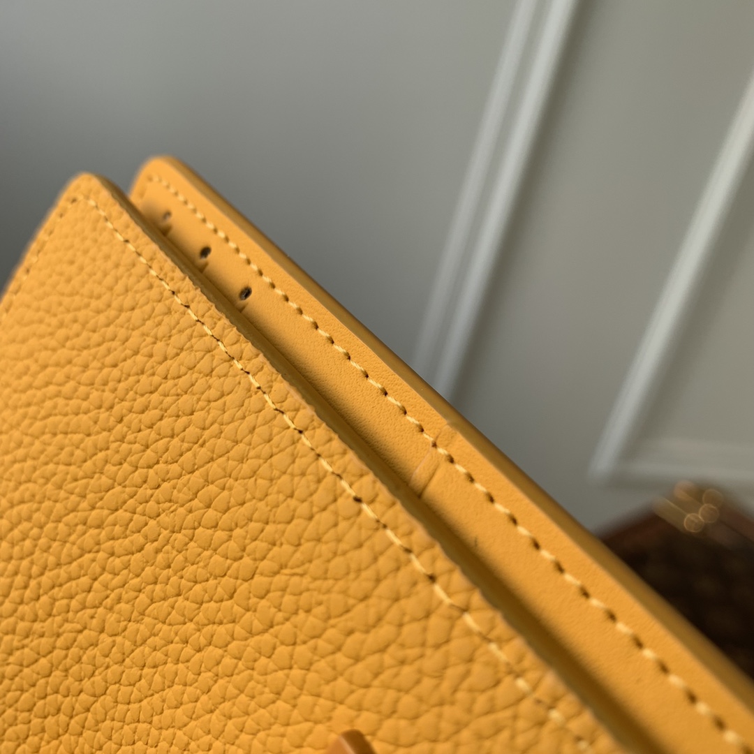 l0*is V*t0n aerogram wallet-8 x 11 x 1cm