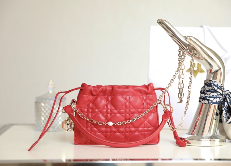 lady D*or bag-19 x 13 x 5cm