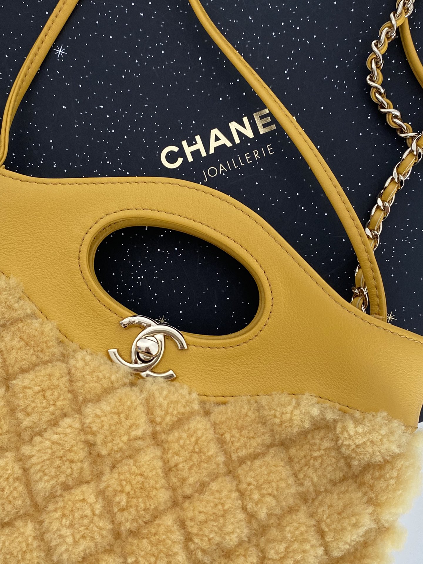 Ch@nel Mini 31 Bag-22*23*5.5CM