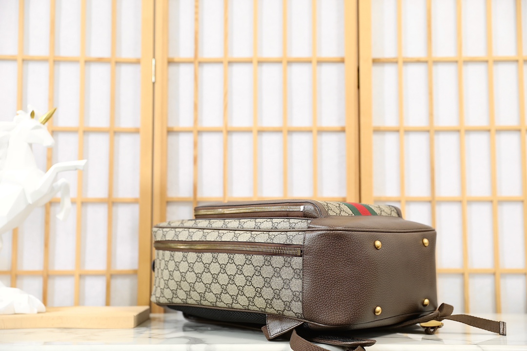 G*u*i ophidia backpack-30*40*14cm